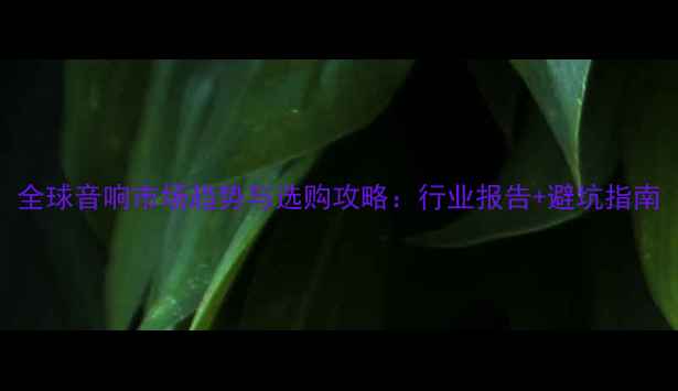 图片 全球音响市场趋势与选购攻略：行业报告+避坑指南