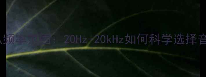 图片 全频喇叭频率范围：20Hz-20kHz如何科学选择音响设备1