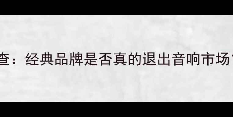 图片 八达音响现状调查：经典品牌是否真的退出音响市场？行业专家深度2