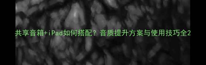 图片 共享音箱+iPad如何搭配？音质提升方案与使用技巧全2