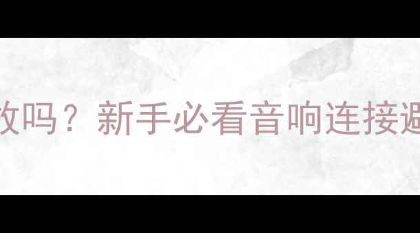 图片 前级功放必须连接功放吗？新手必看音响连接避坑指南！附实测方案