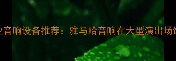 图片 剧院专业音响设备推荐：雅马哈音响在大型演出场馆的应用