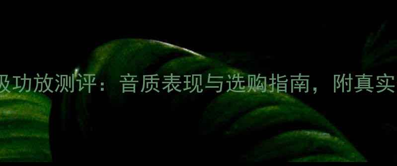 图片 力士前后级功放测评：音质表现与选购指南，附真实使用体验1
