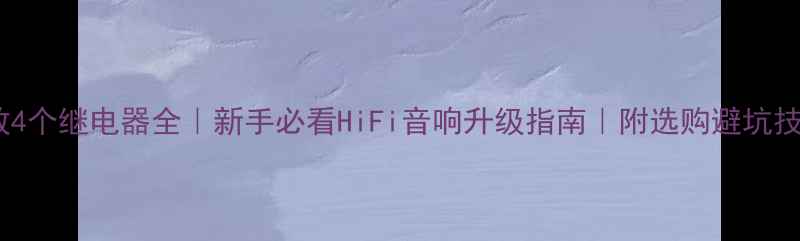 图片 功放4个继电器全｜新手必看HiFi音响升级指南｜附选购避坑技巧1