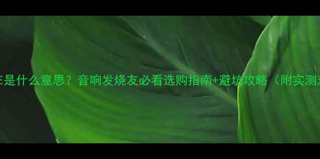 图片 功放AE是什么意思？音响发烧友必看选购指南+避坑攻略（附实测对比）