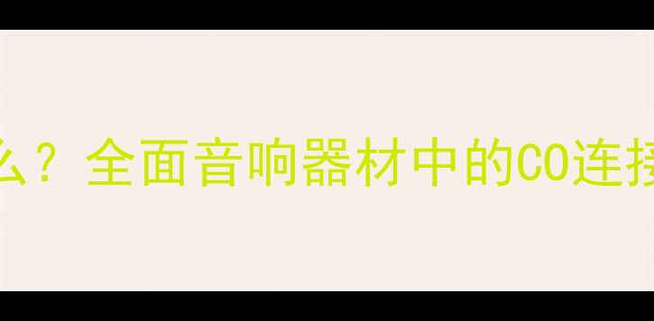 图片 功放CO接口是什么？全面音响器材中的CO连接方式与使用技巧