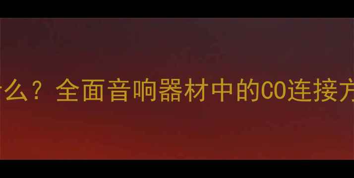 图片 功放CO接口是什么？全面音响器材中的CO连接方式与使用技巧1