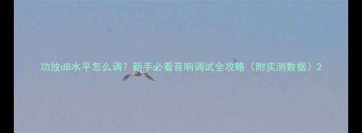 图片 功放dB水平怎么调？新手必看音响调试全攻略（附实测数据）2