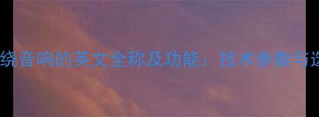 图片 功放中环绕音响的英文全称及功能：技术参数与选购指南1