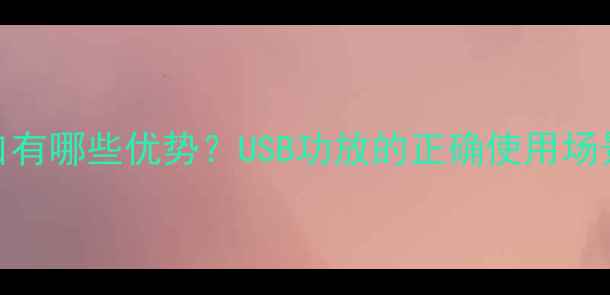 图片 功放带USB接口有哪些优势？USB功放的正确使用场景与选购指南1