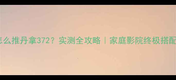 图片 功放怎么推丹拿372？实测全攻略｜家庭影院终极搭配方案2