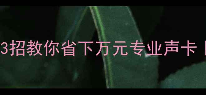 图片 功放接电脑必看！3招教你省下万元专业声卡｜零基础小白必读2