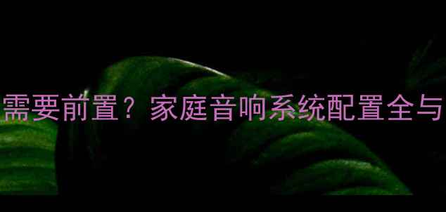 图片 功放是否需要前置？家庭音响系统配置全与选购指南