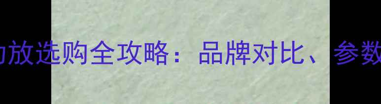 图片 功放机与卡拉OK功放选购全攻略：品牌对比、参数及使用场景指南2