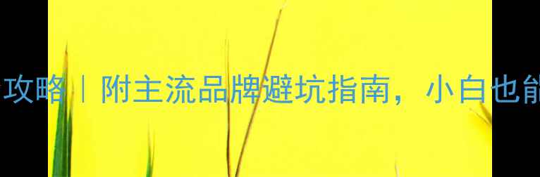 图片 功放机选购全攻略｜附主流品牌避坑指南，小白也能听出高级感2