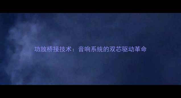 图片 功放桥接技术：音响系统的双芯驱动革命