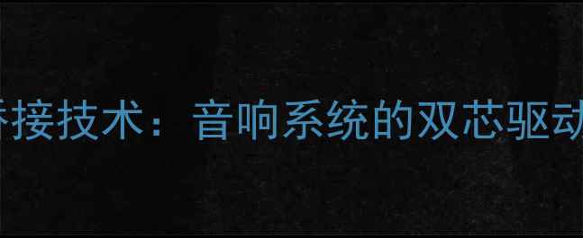图片 功放桥接技术：音响系统的双芯驱动革命1