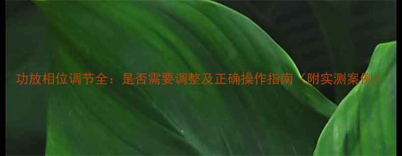 图片 功放相位调节全：是否需要调整及正确操作指南（附实测案例）