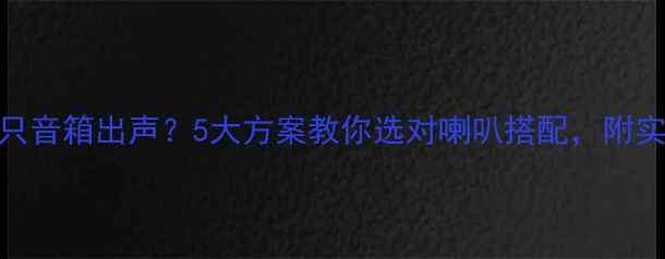 图片 功放配几只音箱出声？5大方案教你选对喇叭搭配，附实测对比！