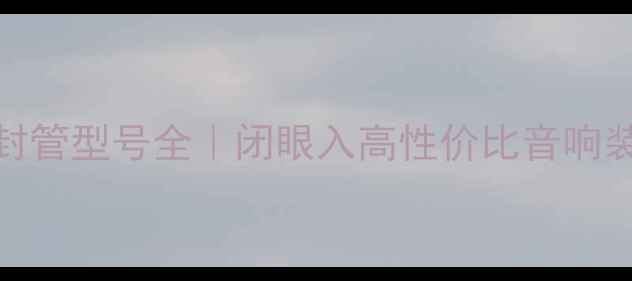 图片 功放金封管型号全｜闭眼入高性价比音响装备指南