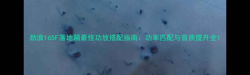 图片 劲浪165F落地箱最佳功放搭配指南：功率匹配与音质提升全1