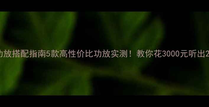 图片 劲浪喇叭功放搭配指南5款高性价比功放实测！教你花3000元听出2万级音质1