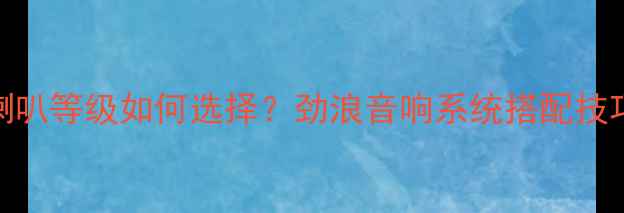 图片 劲浪套装喇叭等级如何选择？劲浪音响系统搭配技巧与性能全