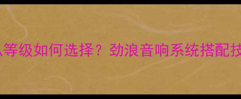 图片 劲浪套装喇叭等级如何选择？劲浪音响系统搭配技巧与性能全2