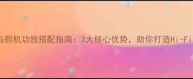 图片 劲浪音箱与胆机功放搭配指南：3大核心优势，助你打造Hi-Fi音效系统2