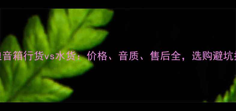 图片 劲浪音箱行货vs水货：价格、音质、售后全，选购避坑指南