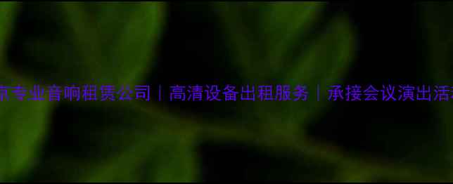 图片 北京专业音响租赁公司｜高清设备出租服务｜承接会议演出活动2