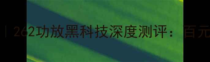 图片 北京音乐人私藏｜262功放黑科技深度测评：百元内音质天花板？
