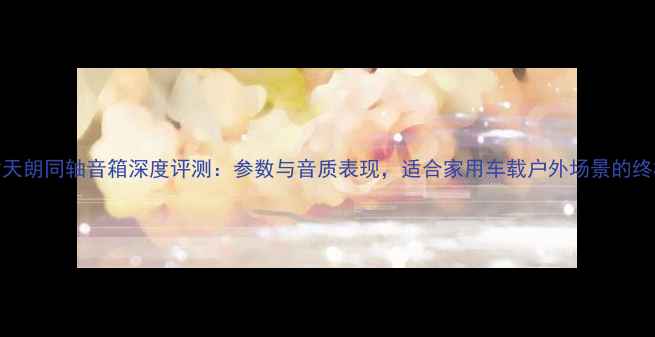 图片 十二寸天朗同轴音箱深度评测：参数与音质表现，适合家用车载户外场景的终极选择