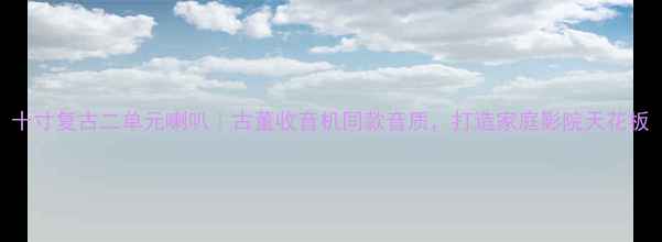 图片 十寸复古二单元喇叭｜古董收音机同款音质，打造家庭影院天花板