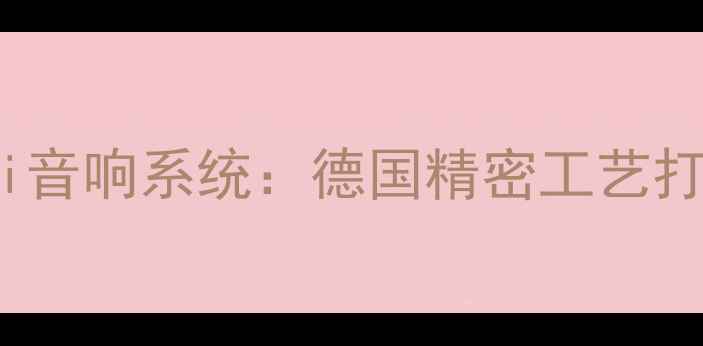 图片 升级款乐富豪钻石220Hi-Fi音响系统：德国精密工艺打造专业级家庭影院新标杆1