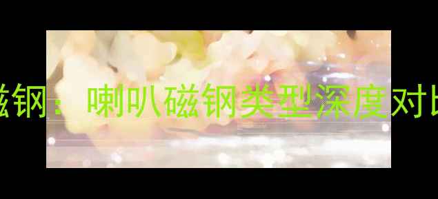 图片 单磁钢vs双磁钢：喇叭磁钢类型深度对比与选购指南