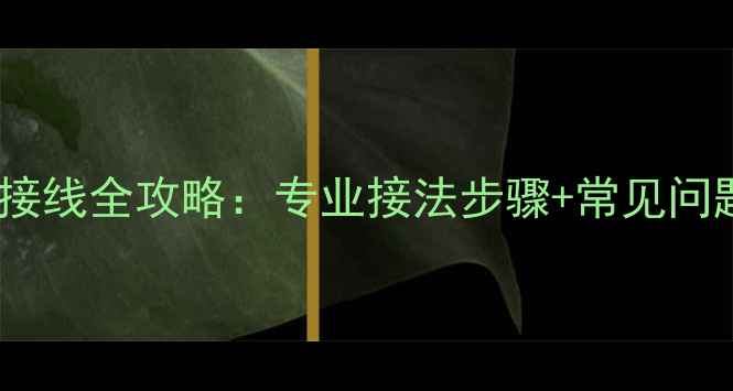 图片 博士802音箱喇叭接线全攻略：专业接法步骤+常见问题（附实测图解）