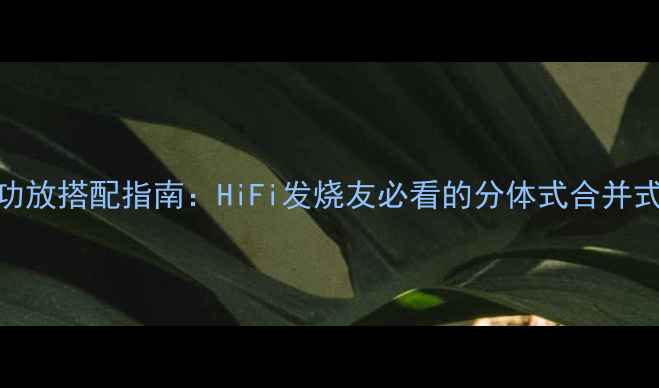 图片 博士901音响系统最佳功放搭配指南：HiFi发烧友必看的分体式合并式功放推荐与选购攻略1