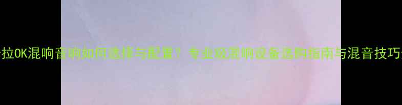 图片 卡拉OK混响音响如何选择与配置？专业级混响设备选购指南与混音技巧全