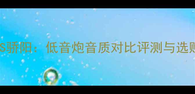 图片 卡维VS骄阳：低音炮音质对比评测与选购指南