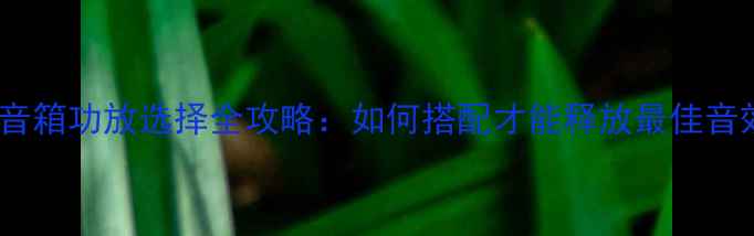 图片 卫星音箱功放选择全攻略：如何搭配才能释放最佳音效？1