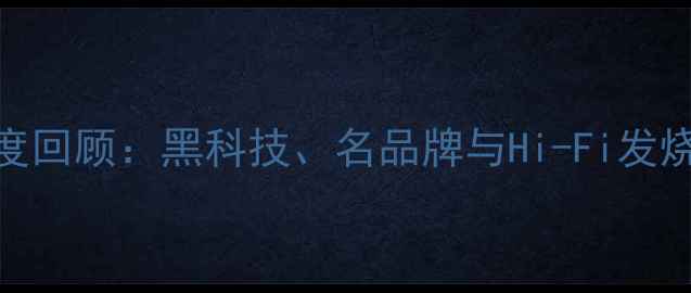 图片 厦门音响展深度回顾：黑科技、名品牌与Hi-Fi发烧友的狂欢盛宴