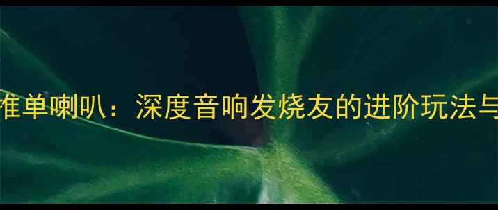 图片 双功放合推单喇叭：深度音响发烧友的进阶玩法与实战指南