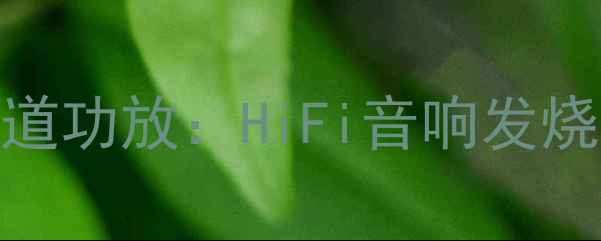 图片 双单声道功放vs单声道功放：HiFi音响发烧友必看音质对比指南