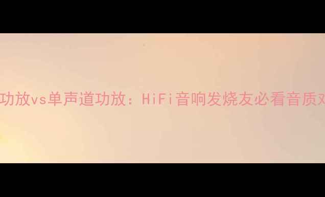 图片 双单声道功放vs单声道功放：HiFi音响发烧友必看音质对比指南1