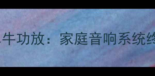 图片 双牛功放VS单牛功放：家庭音响系统终极选购指南1