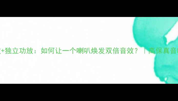 图片 双通道功放+独立功放：如何让一个喇叭焕发双倍音效？｜高保真音响进阶指南
