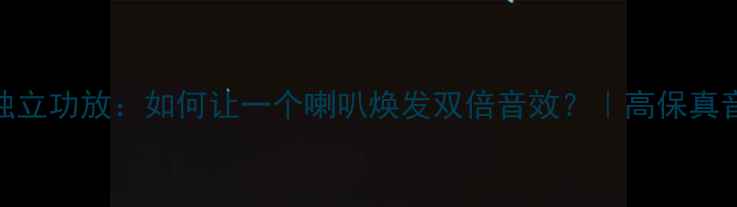 图片 双通道功放+独立功放：如何让一个喇叭焕发双倍音效？｜高保真音响进阶指南2