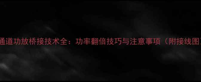 图片 双通道功放桥接技术全：功率翻倍技巧与注意事项（附接线图）2