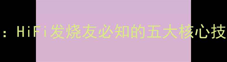 图片 台湾CAF功放机深度：HiFi发烧友必知的五大核心技术优势与选购指南1